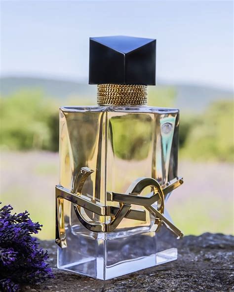 liberte ysl